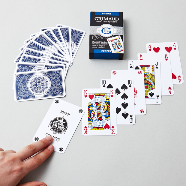 Étui du jeu de cartes bridge bleu